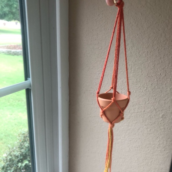 Mini plant holder - Picture 1 of 4